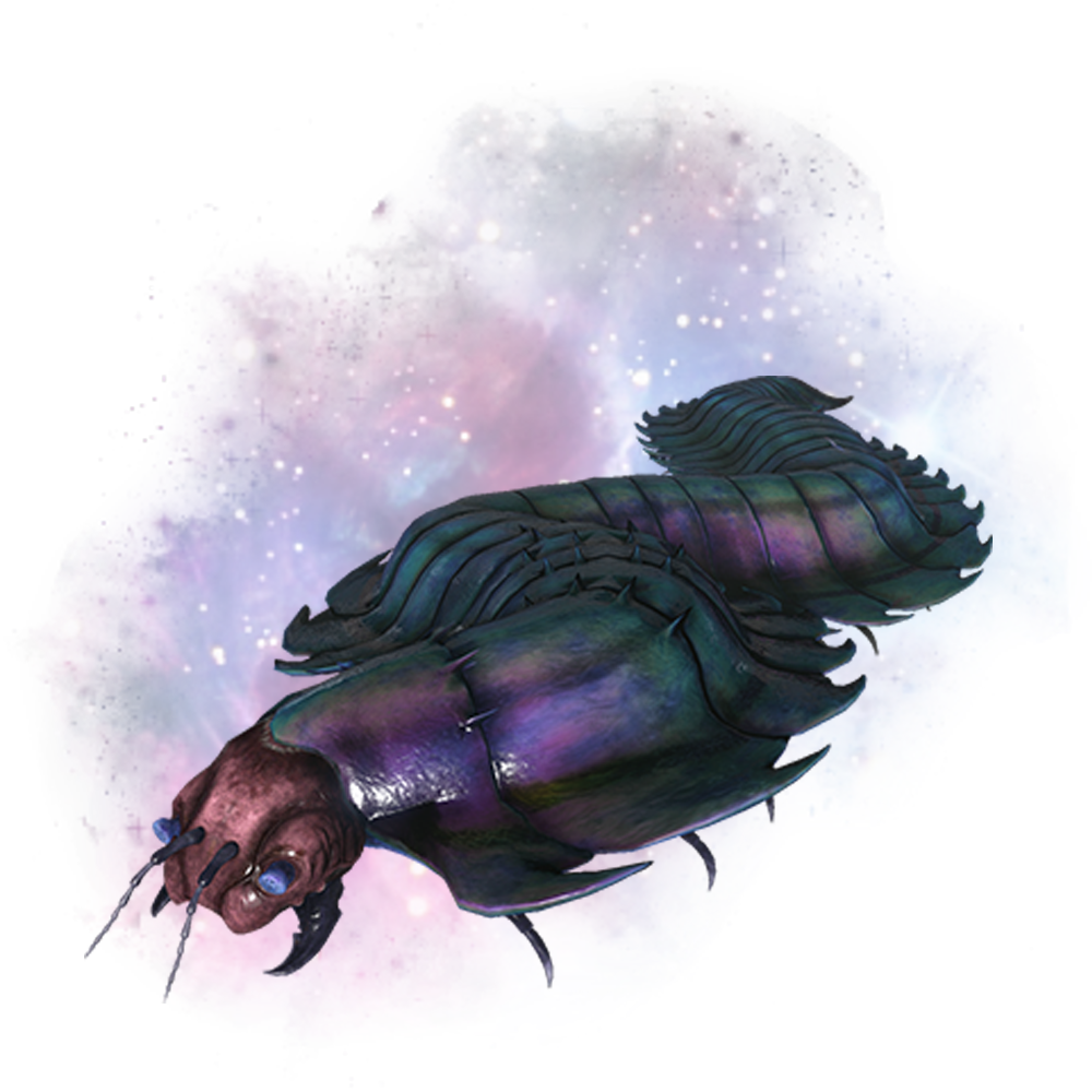 Arthropluera